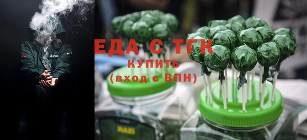индика Киреевск
