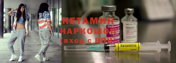 индика Киреевск