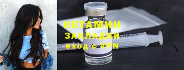 индика Киреевск