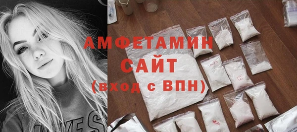 индика Киреевск