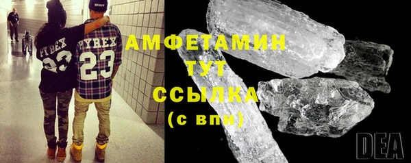 индика Киреевск