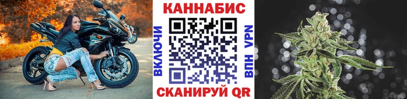 Каннабис конопля  Энем 